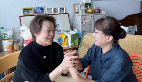 말벗, 정서지원