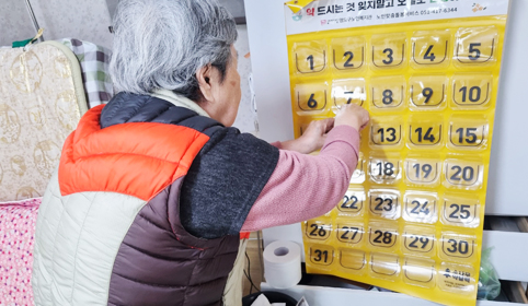 생활교육