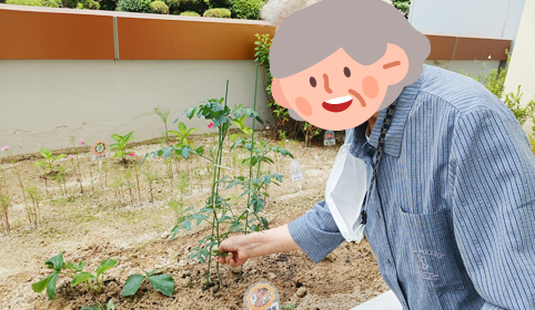 원예프로그램